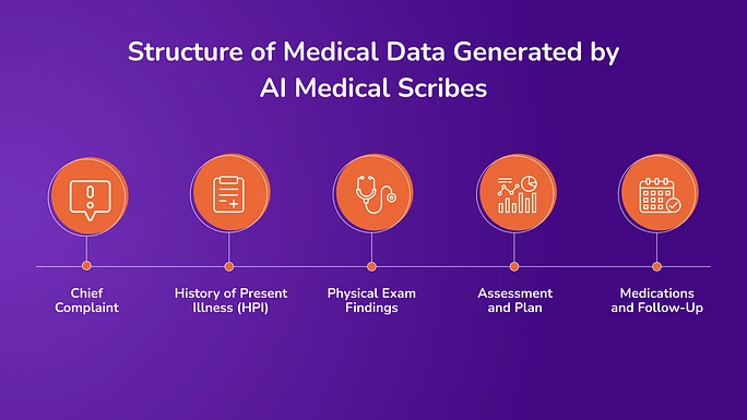 How do AI Scribes Structure Medical Information_