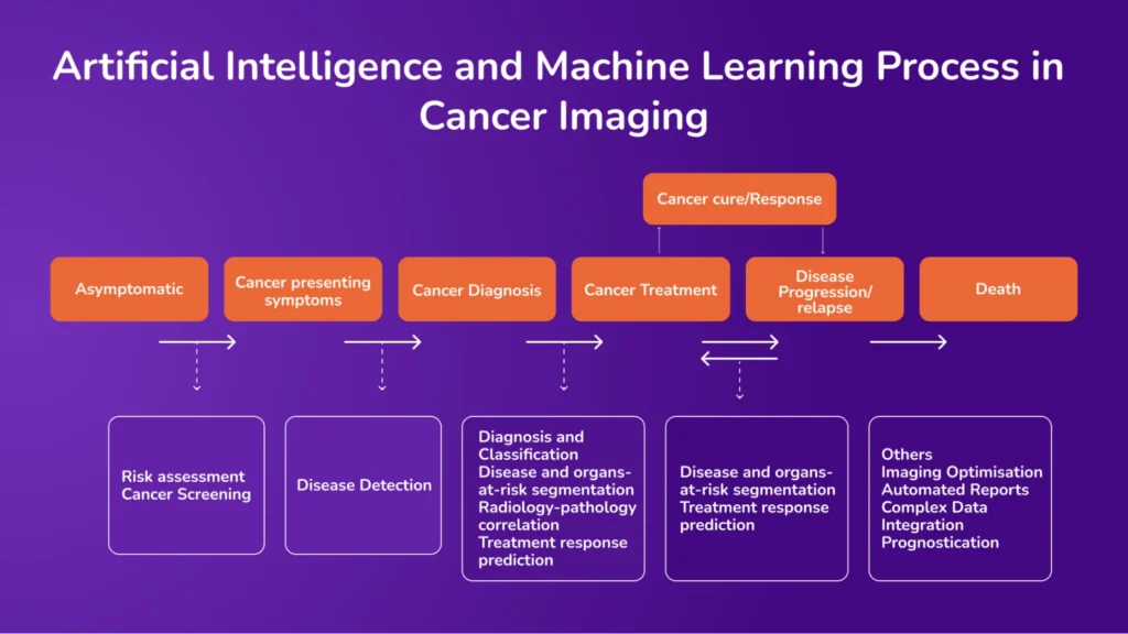 Enhancing Cancer Imaging with AI_ Overcoming Data Limitations