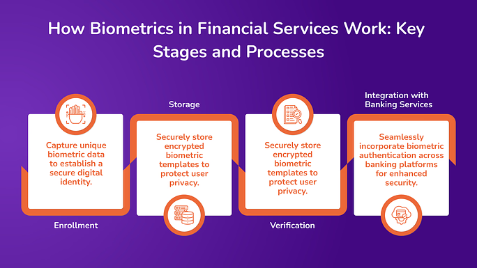 How Biometrics in Financial Services Work_ Key Stages and Processes